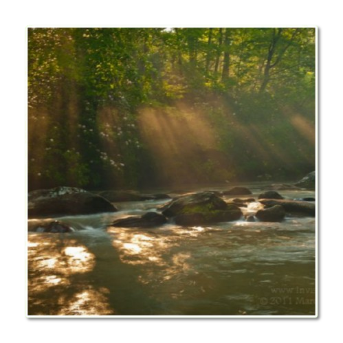 𝓛ady 𝑺yvanne (El Valle) tweet media