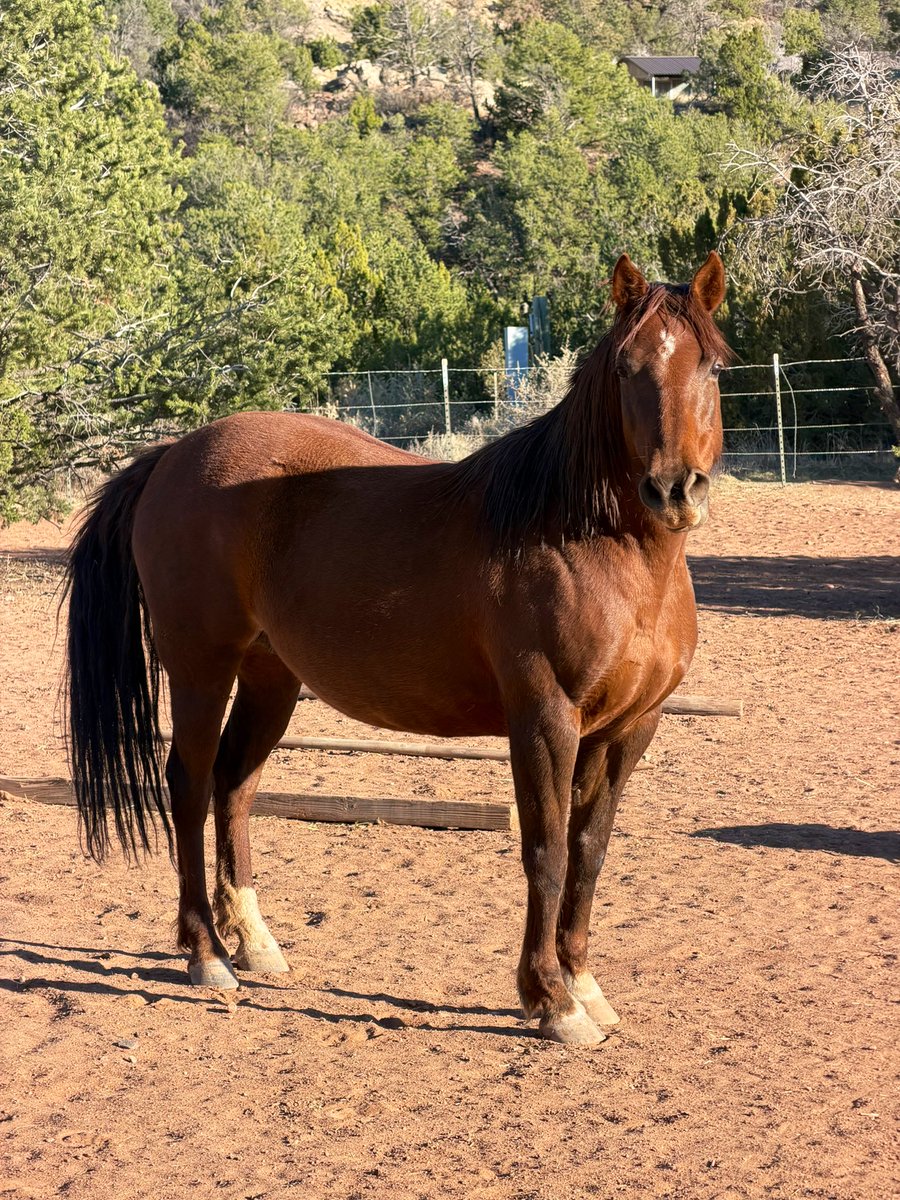 wee-snaw tweet media