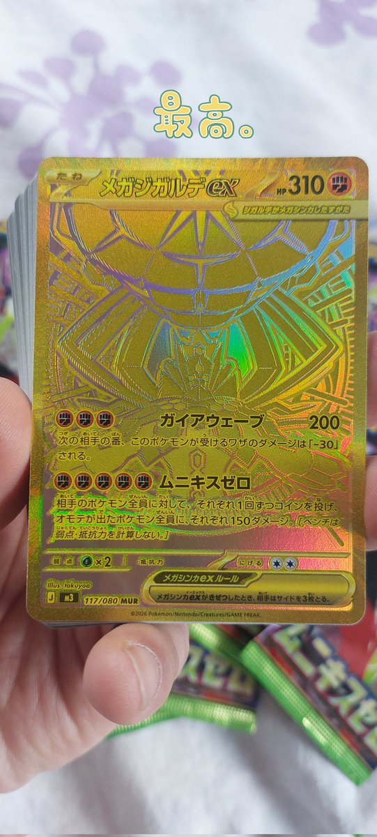 あさ@こめつぶ🦝🌾 tweet media