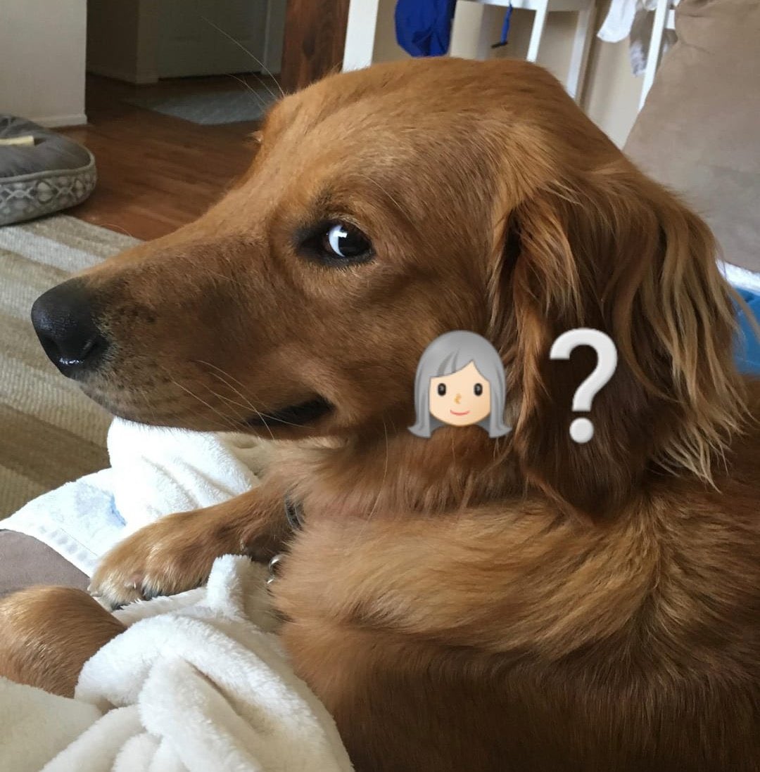 Nachi Saieg 🦦 tweet media