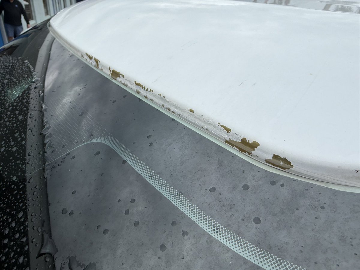 StewPup's tweet photo. @Ford @jimfarley98: The paint is falling off of my 2019 F-150 with only 74k miles on it due to a factory paint defect in the e-coat process of the painting. That’s bare primer that’s exposed and the paint around it is not bonded and literally flaking away. https://t.co/SAzsITEuIm