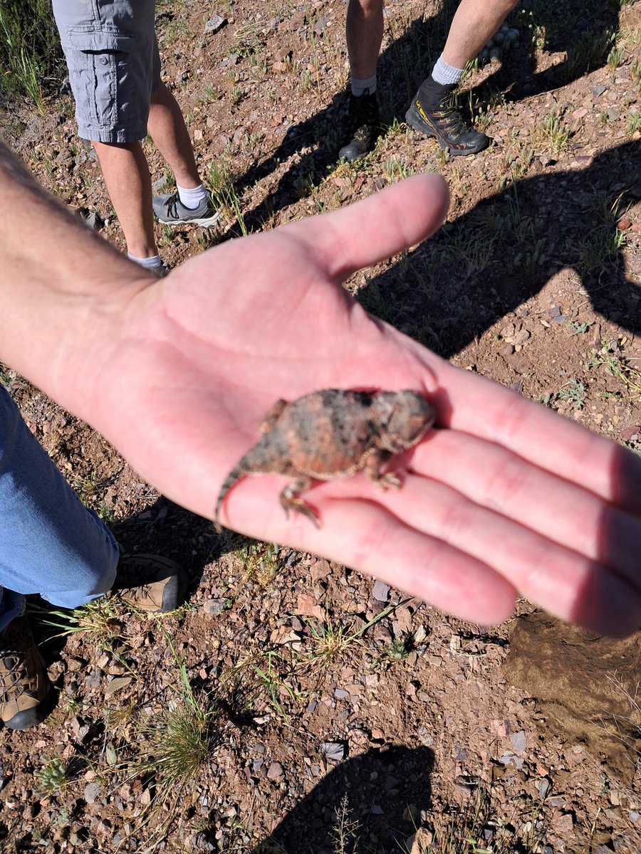 Queen Ruby Mae tweet media