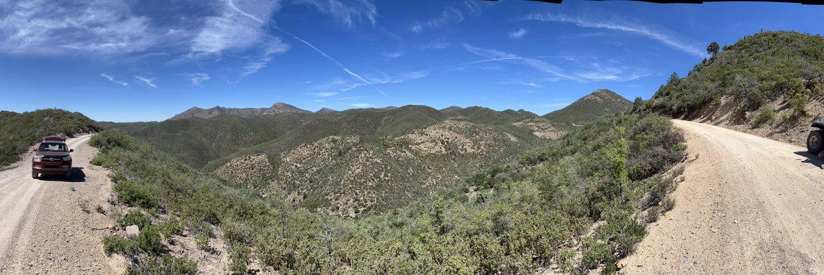 Queen Ruby Mae tweet media