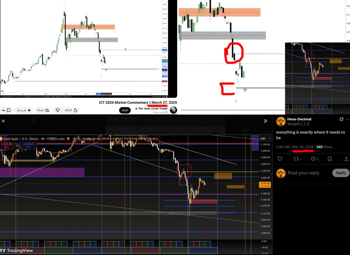 Hexa-Decimal tweet media