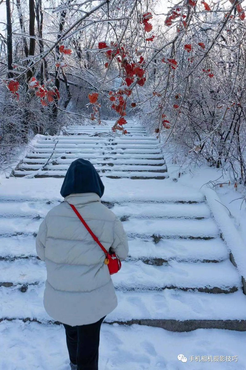 anderson tweet media