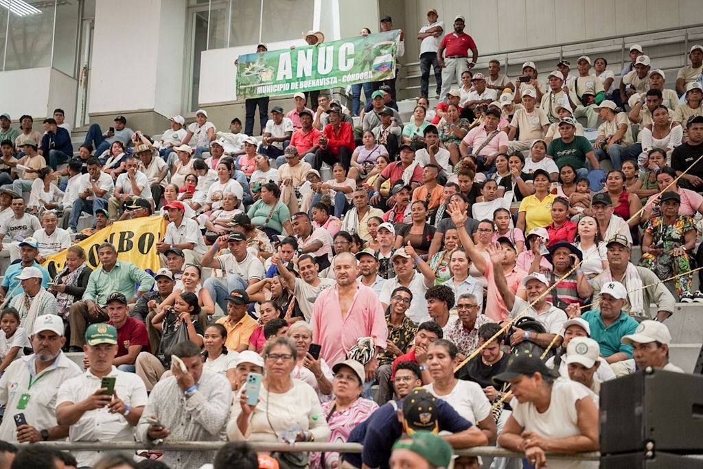 Harman Felipe tweet media