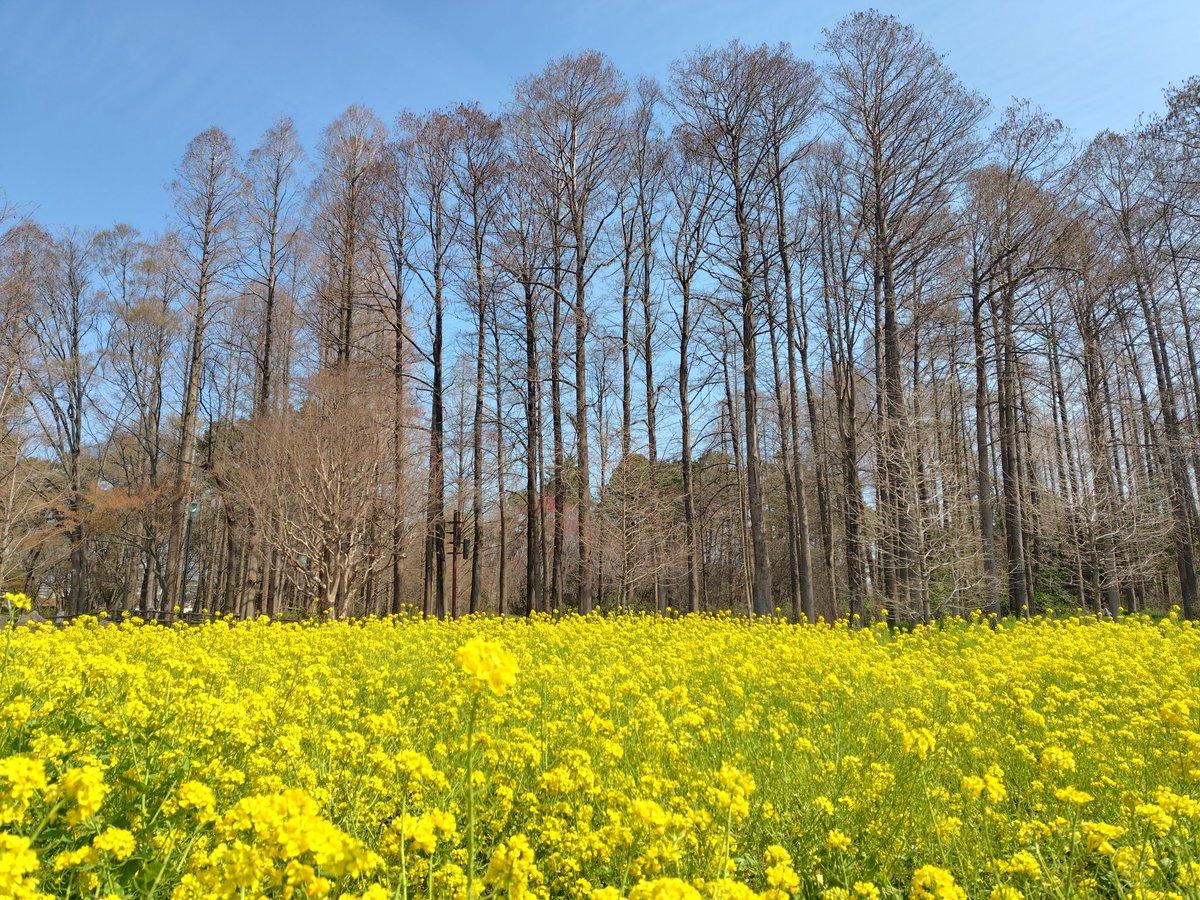 tk@雑多垢🍢 tweet media