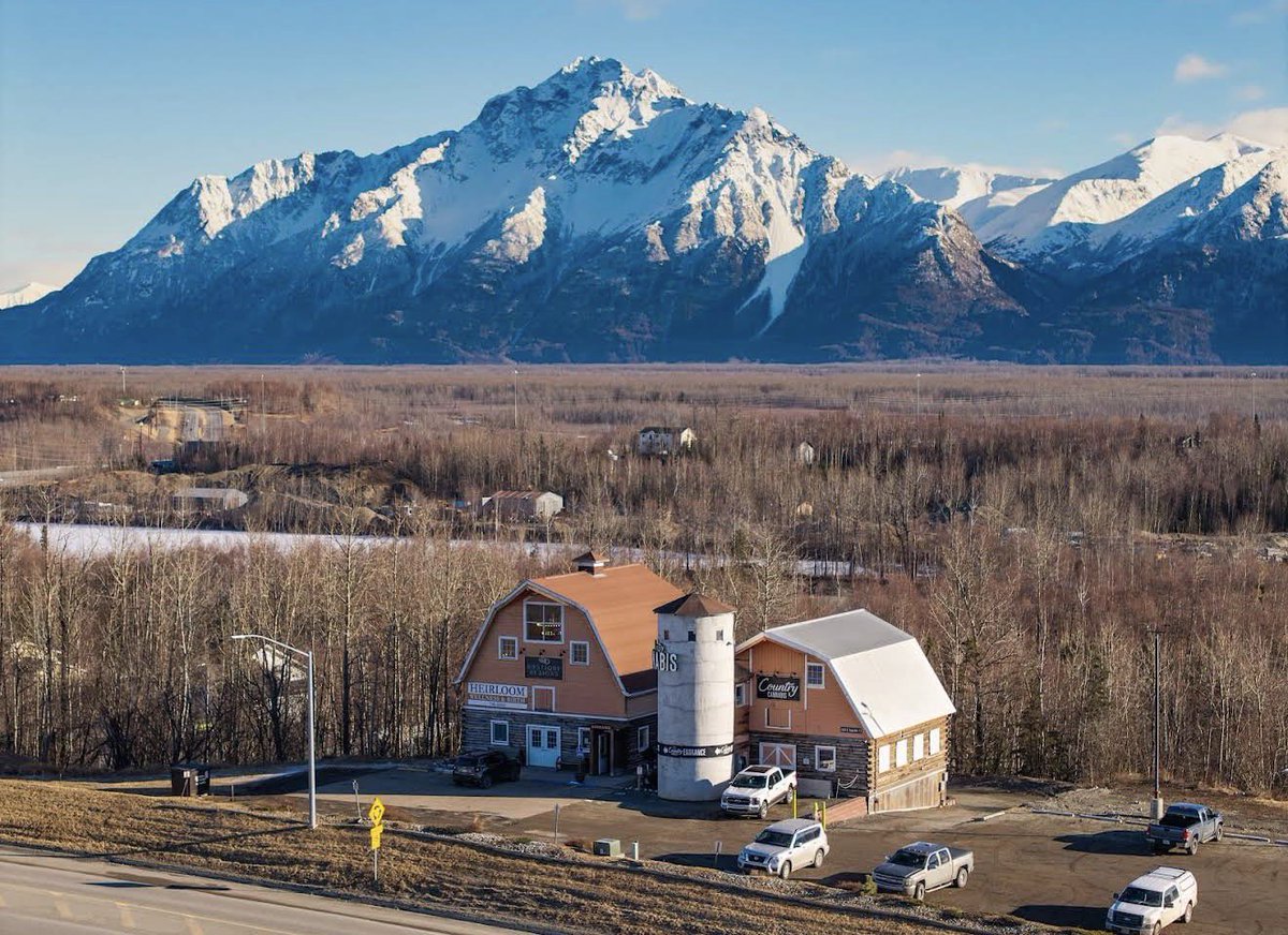 Sushimewew ♿ tweet media