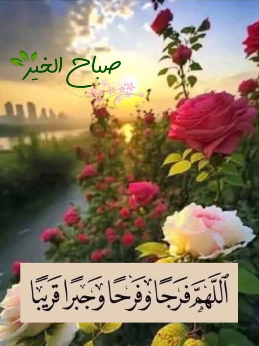 الظاهر tweet media