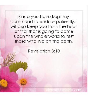 Michael Lewis & Friends tweet media