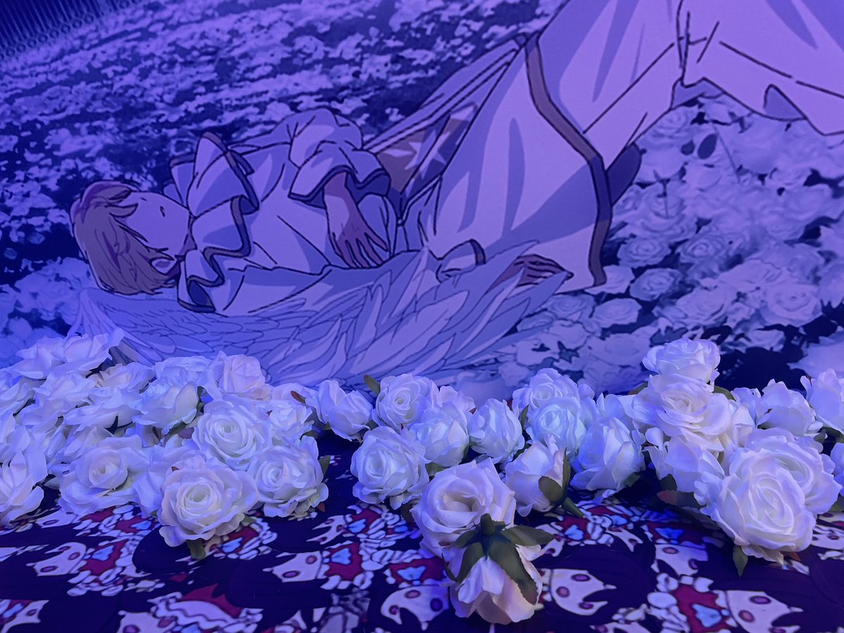 🎀🥔【公式】きょうすけ。🦭 tweet media