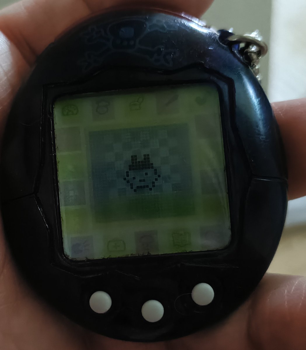 みかん🍊(元杏)ฅ❅*॰ॱ☪︎ tweet media