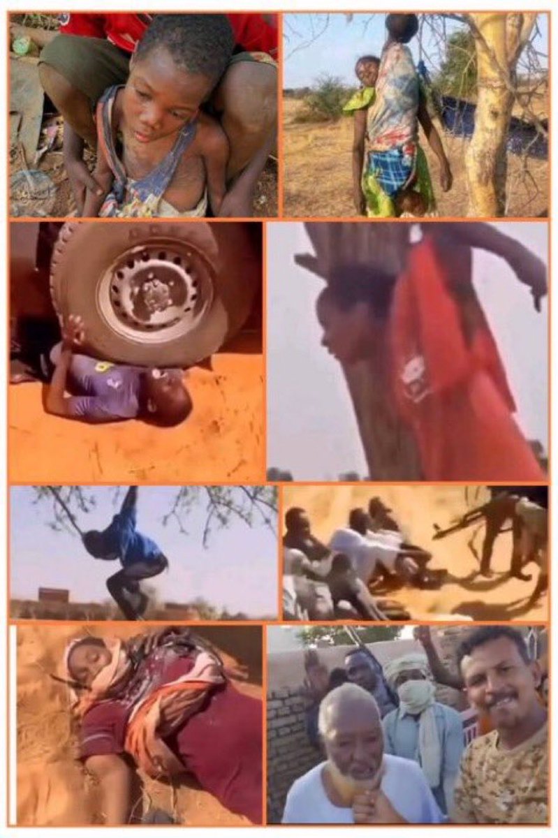 🇵🇸sultan🇸🇦 tweet media