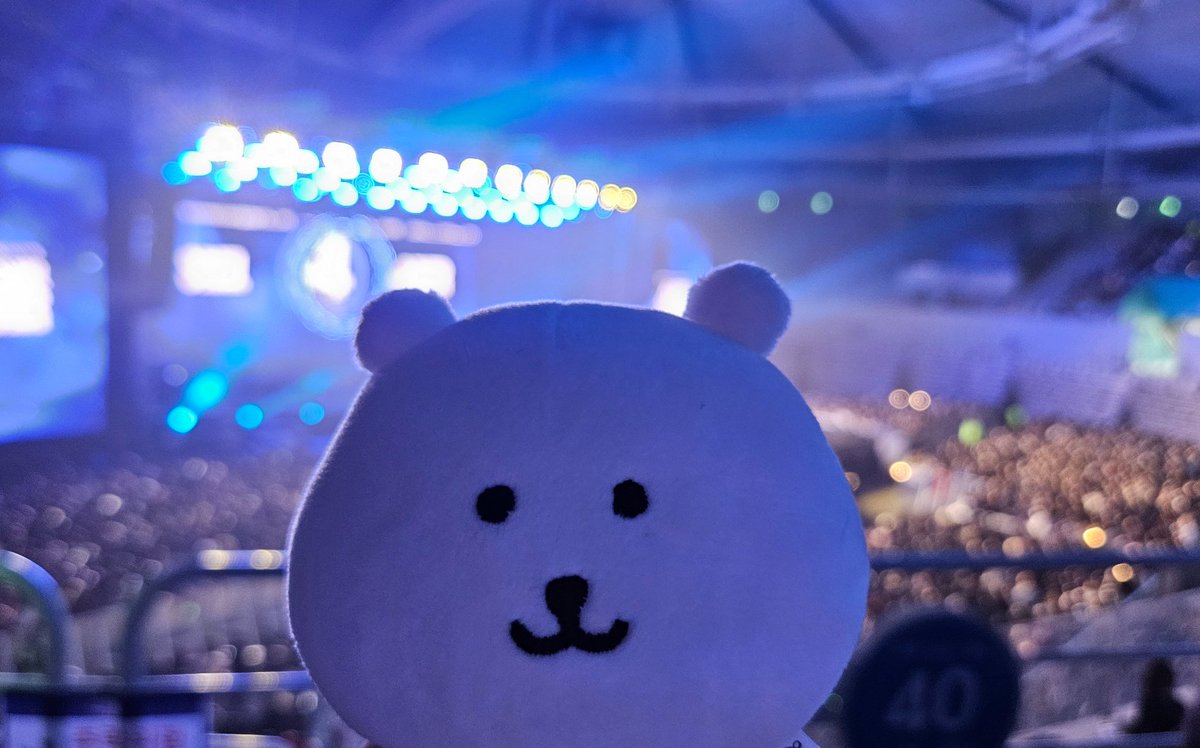 🪨동팔이🪨 tweet media