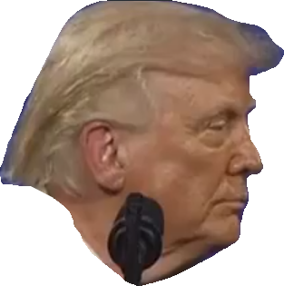 Inguf341 tweet media