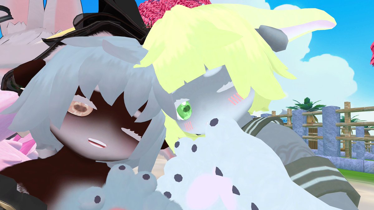 バカラ tweet media