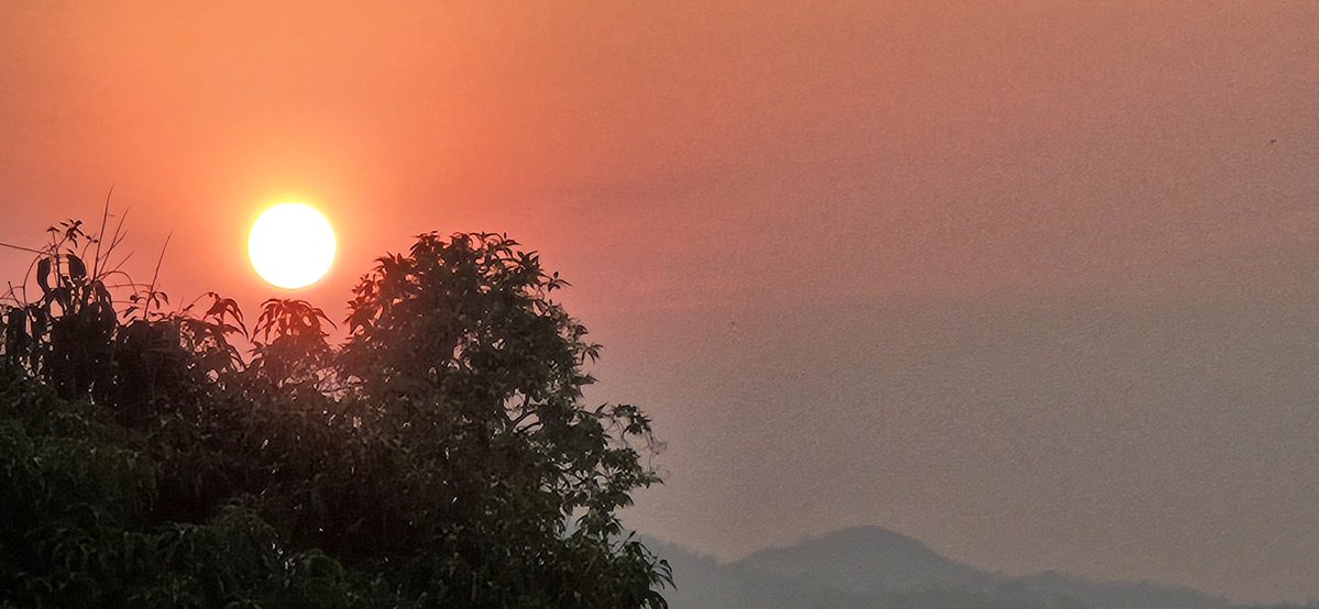 the optimist tweet media