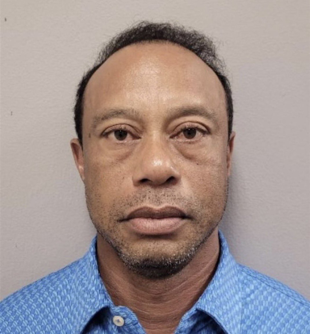 AmericanPapaBear™ tweet media