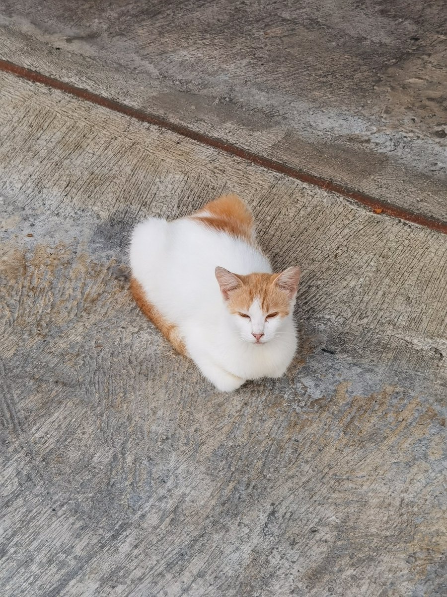 ³3 = 7.625.597.484.987 tweet media