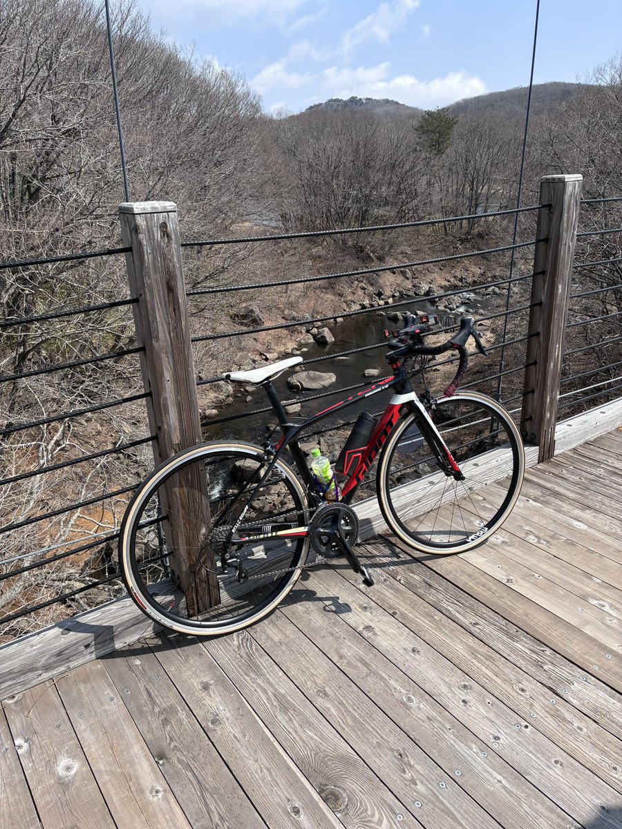 今年初めて外乗りました笑