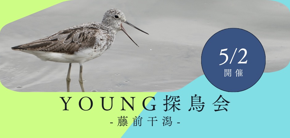 Banzoku@鷺師 tweet media