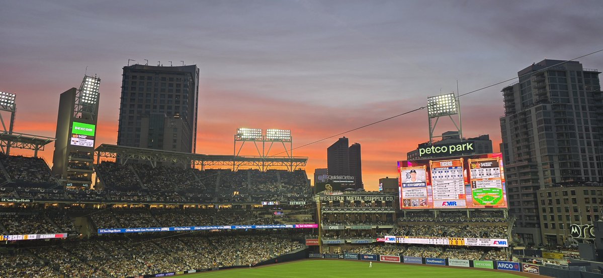 Mike - Elon ruined the bird app tweet media