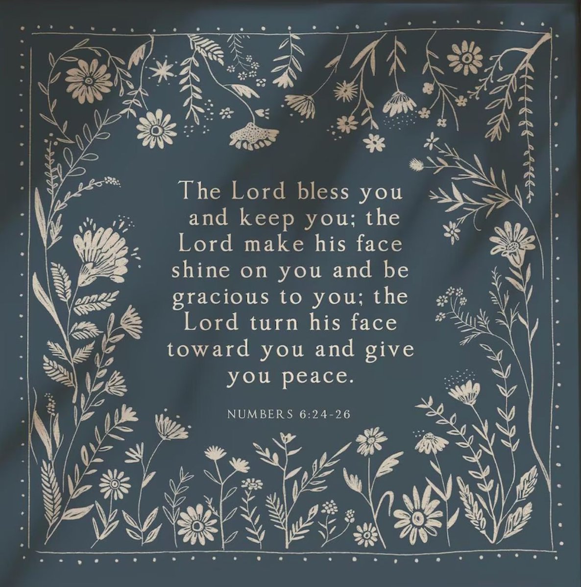 Josh Barzon tweet media