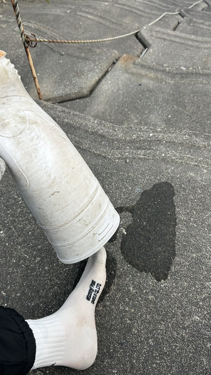 【ストレッチマコドン】chan_makooooooo tweet media