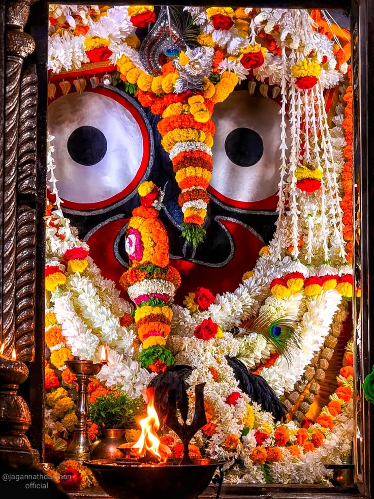 Mishra Aarti 🦚 tweet media