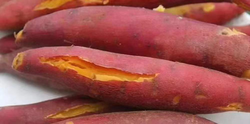 Octavian Nothing tweet media