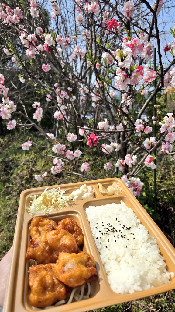 ノミ🦗@筋トレ×投資 tweet media