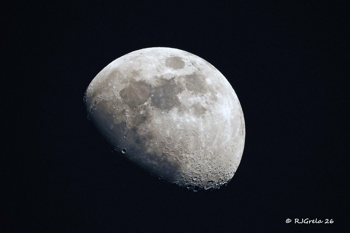 Ray Grela tweet media