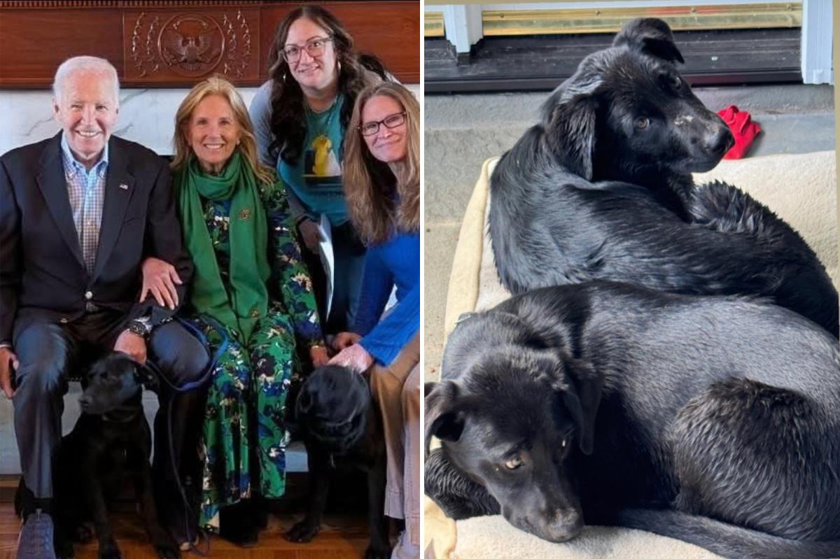 New York Post tweet media