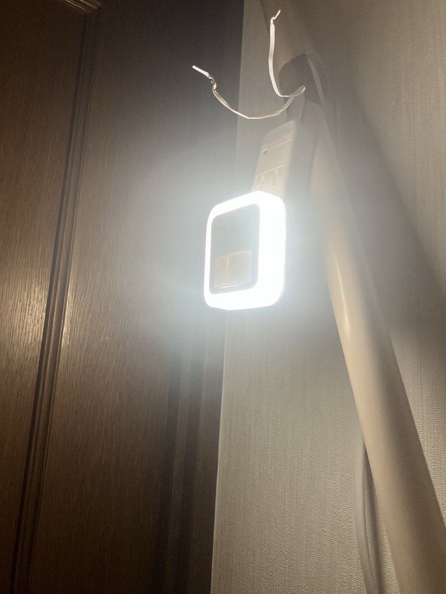 旅人くろっくは家にいる🌸 tweet media