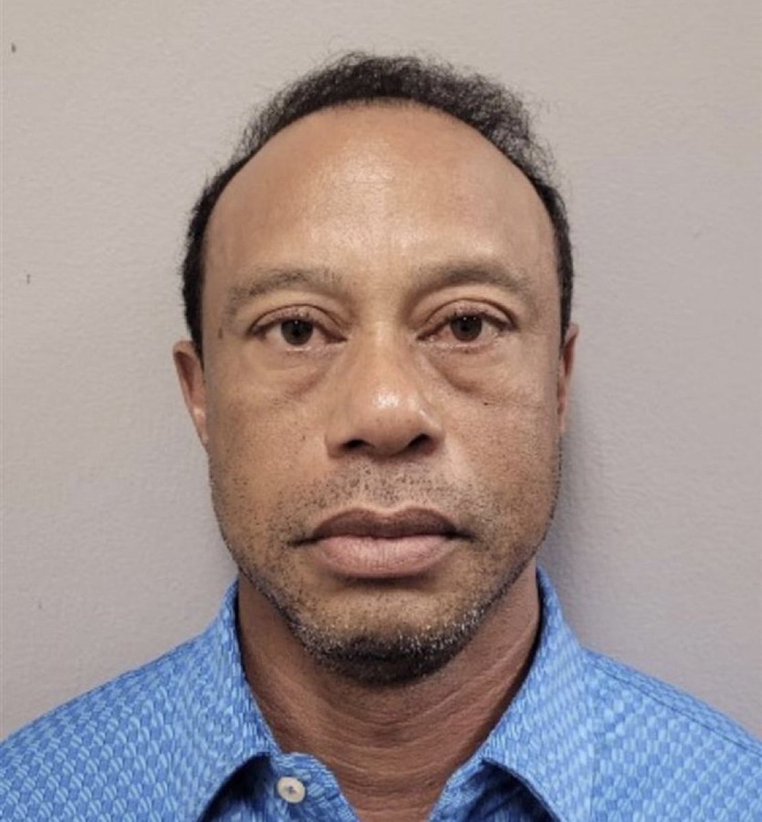 NewsWire tweet media