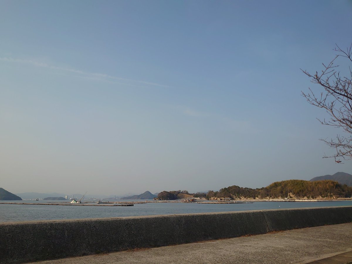 みきまる tweet media