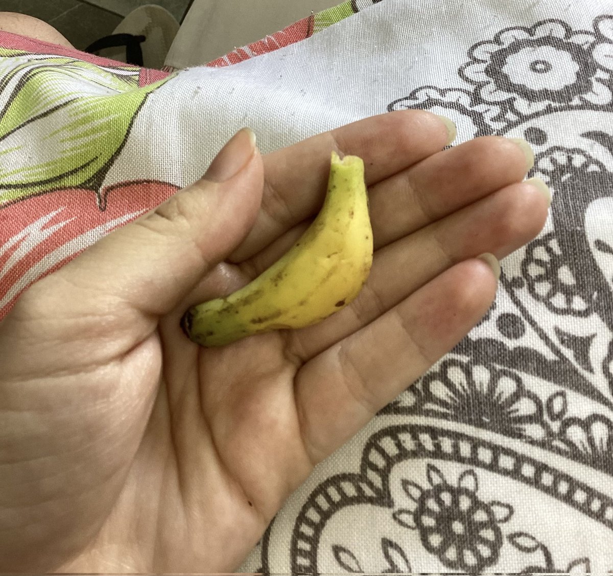 apenas a luz ‼️comisson open‼️ tweet media