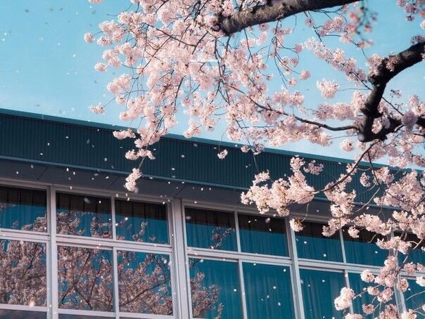 KC .☘︎ ݁˖ tweet media