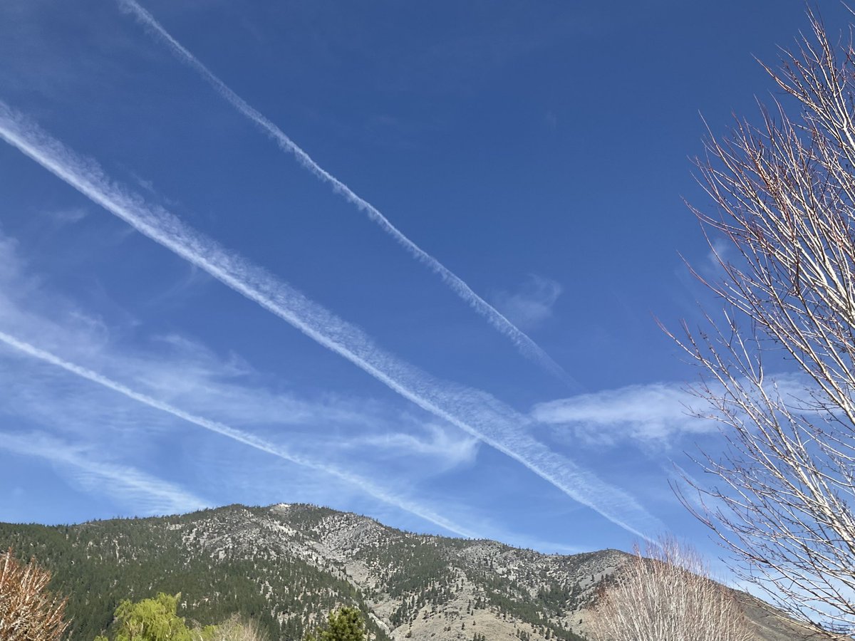 CAPoliticalRefugee tweet media