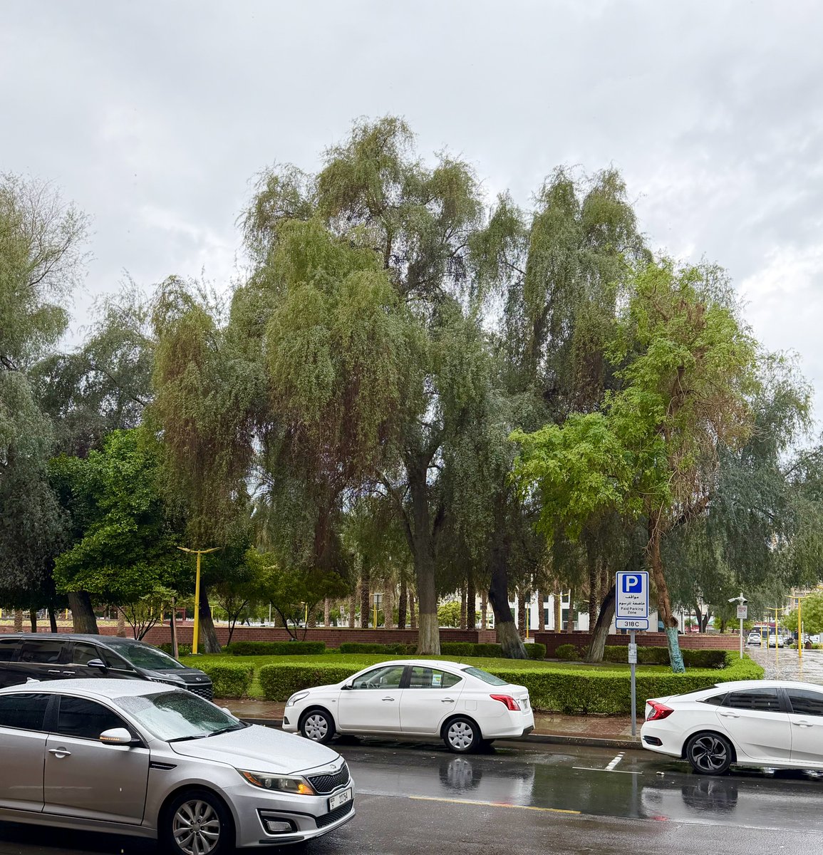 حبيب الملا tweet media