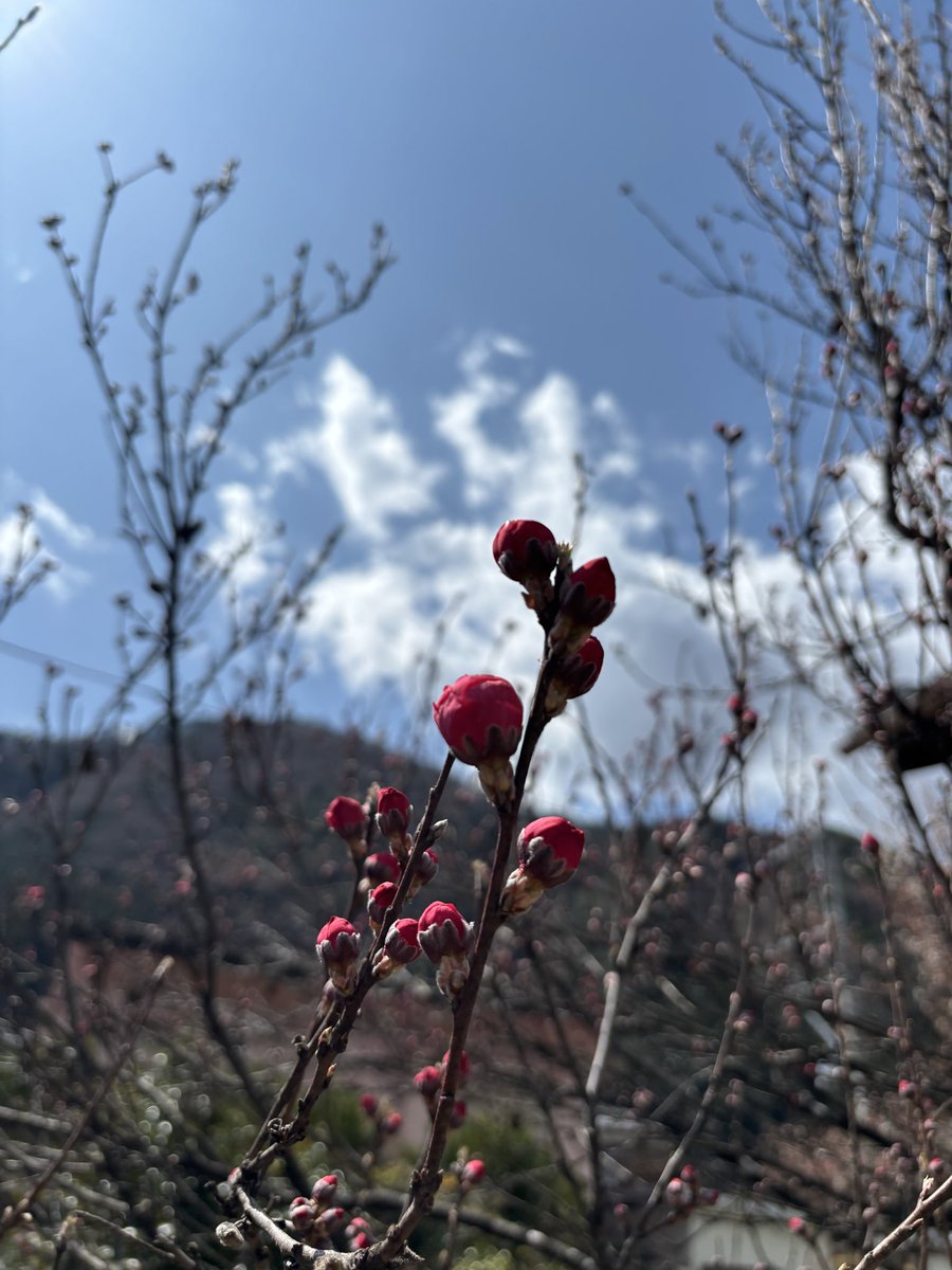 TABA CAFE tweet media