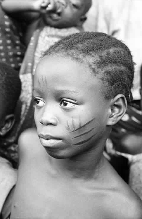 𝑩𝑰𝑮 𝑻𝑬𝑬 𝑫𝑬𝑬 🔮 tweet media