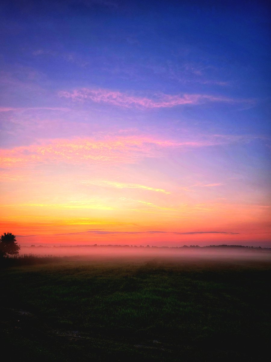 Darrell, not Daryl tweet media