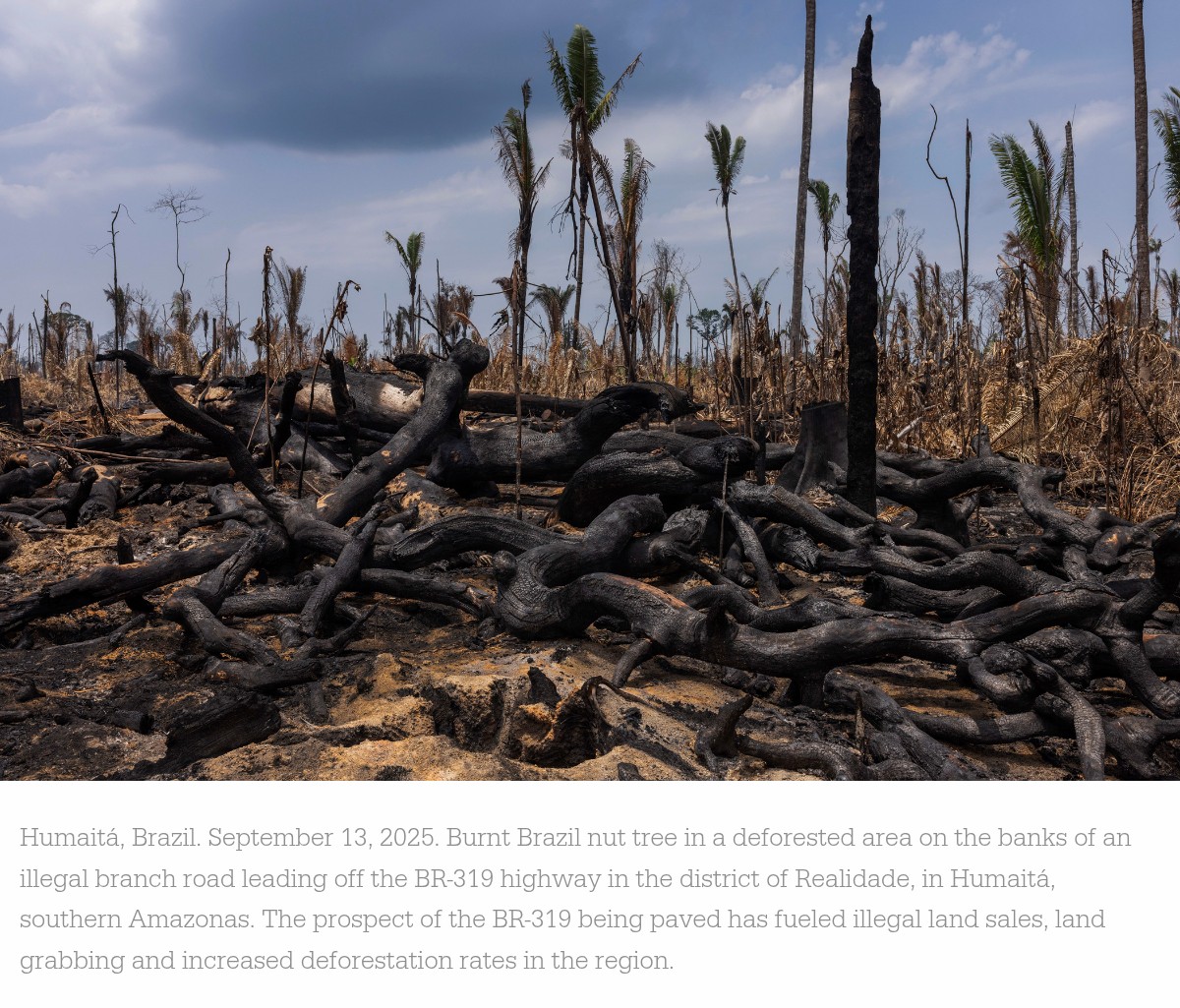 Peter Clack tweet media