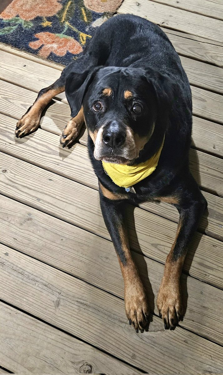 Adrienne & Rugie tweet media