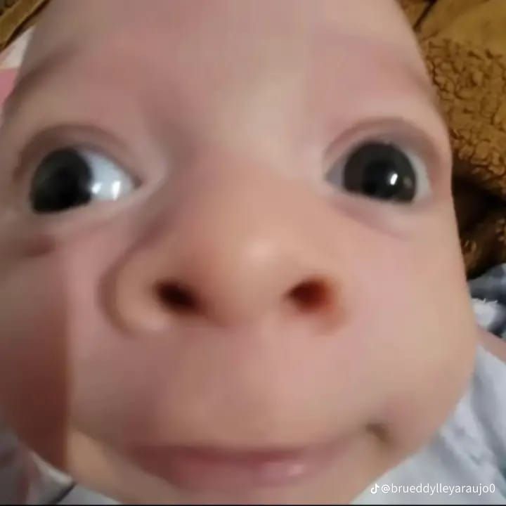 Felixs butter🌷 •••(\_/) tweet media