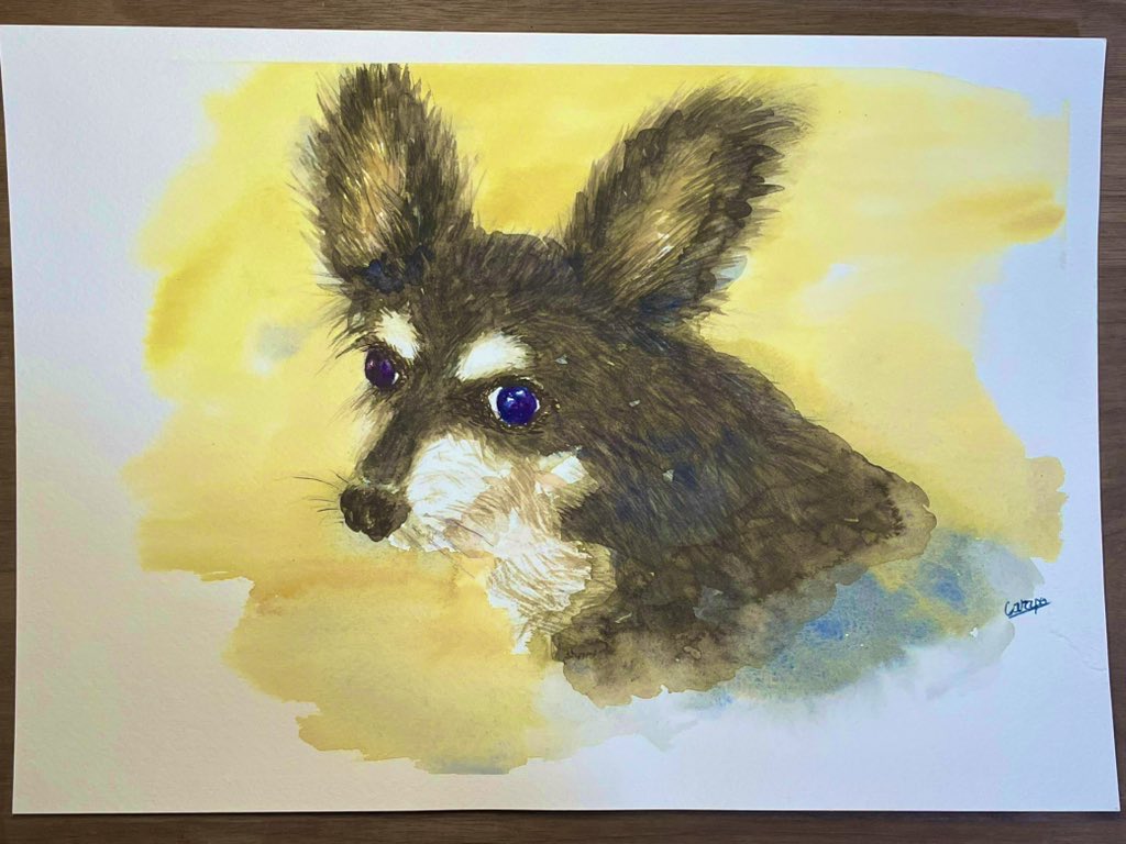 carapo(からぽ) tweet media