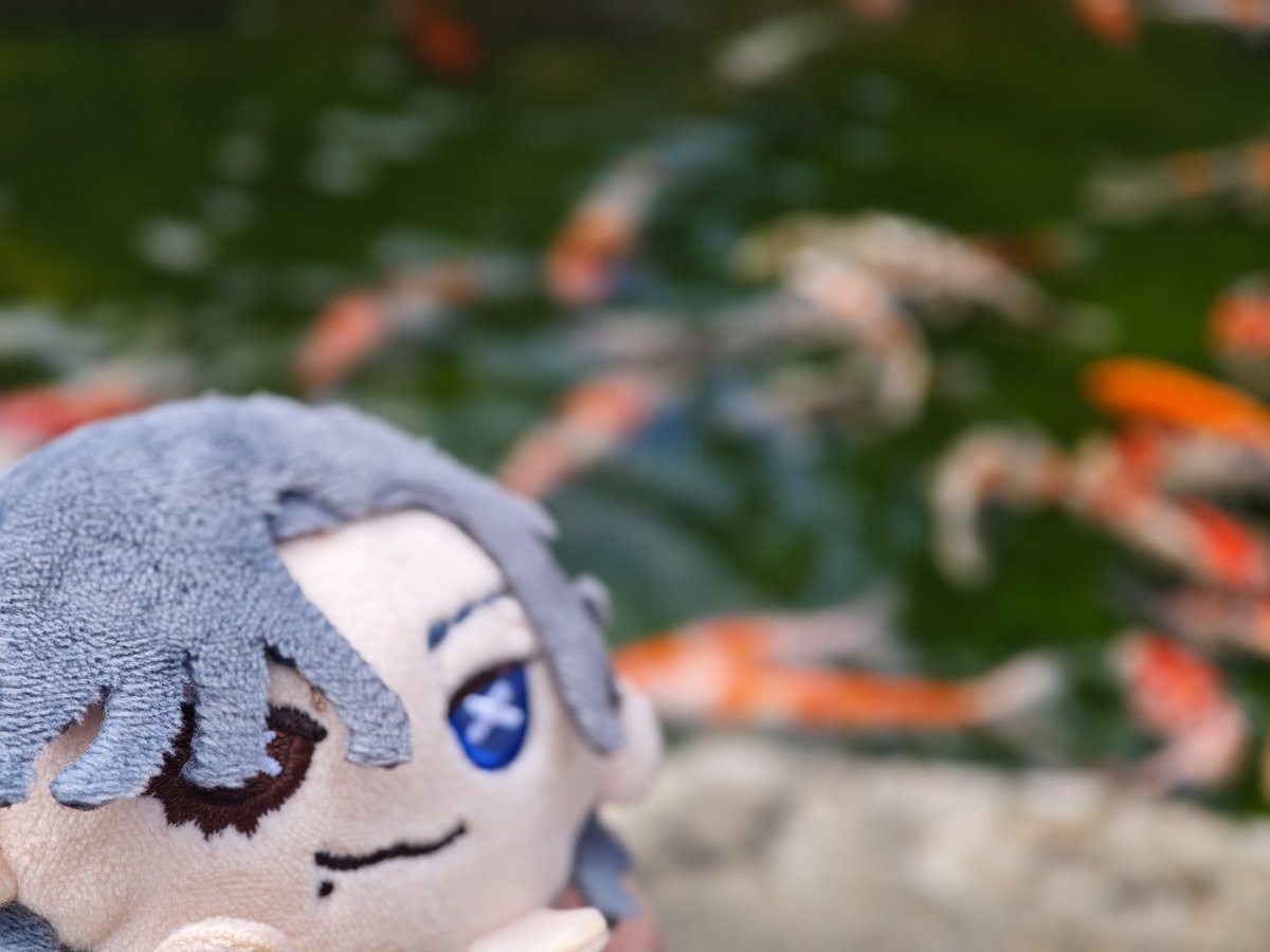 どろし🪩 tweet media