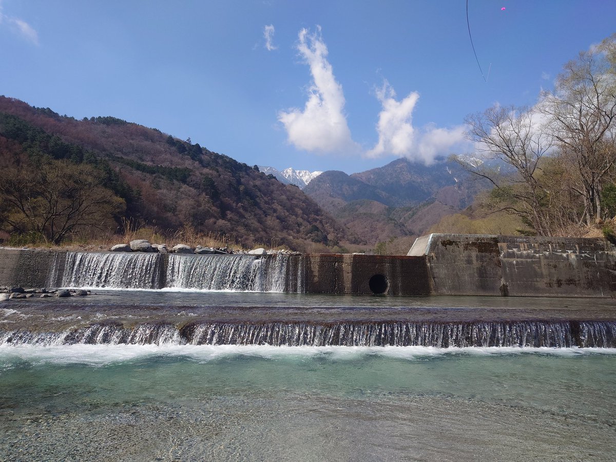 るてしよ tweet media