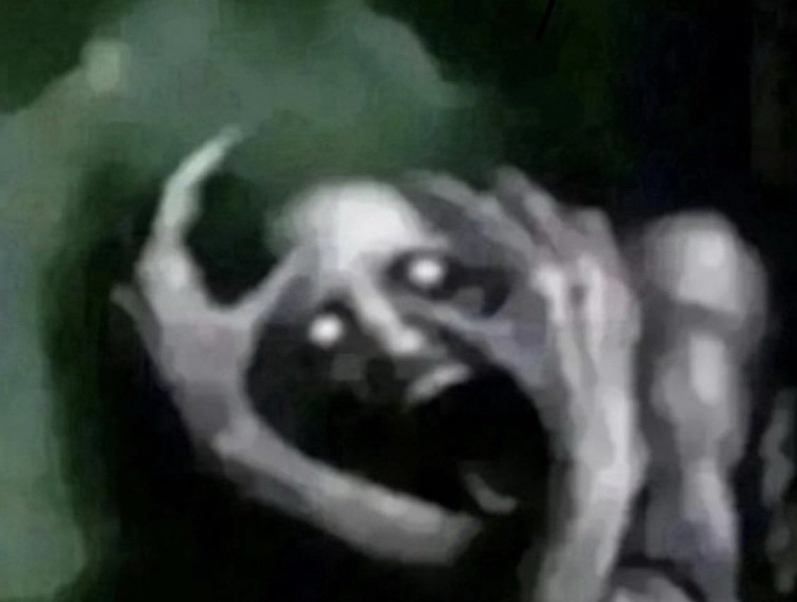 FREDDLEtectual tweet media